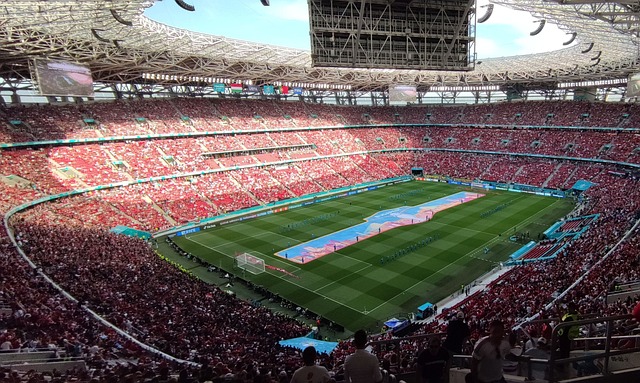 黎的不满 黎的不满