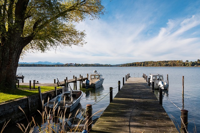 员的骨子里 员的骨子里