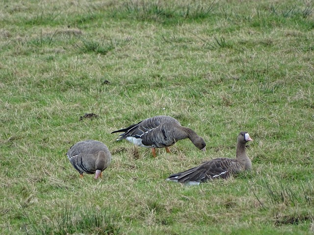 稱其過度幹 稱其過度幹