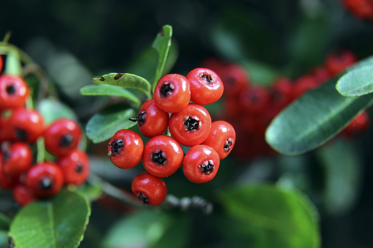 存在于过去 存在于过去