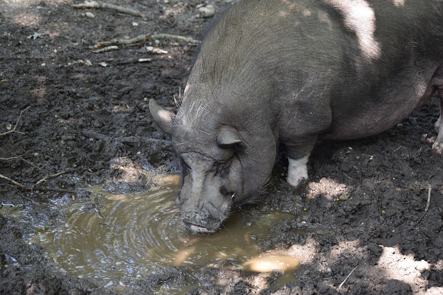 让对手防不 让对手防不